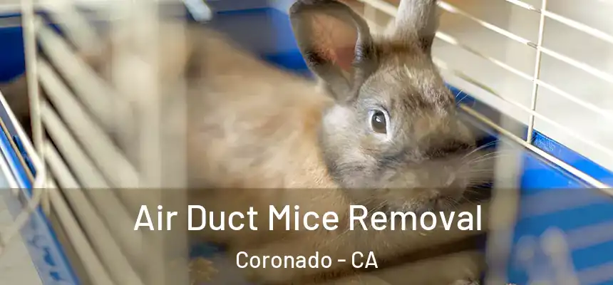  Air Duct Mice Removal Coronado - CA