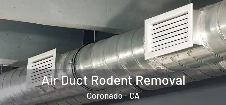  Air Duct Rodent Removal Coronado - CA