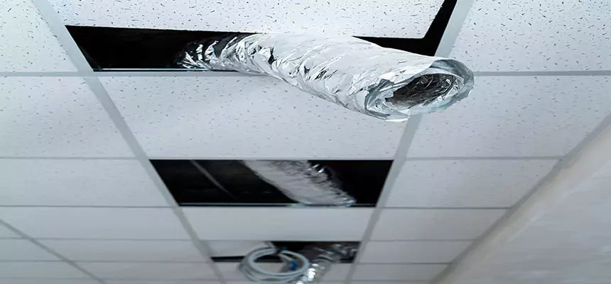 Affordable HVAC Sanitizing After Pest Removal in Coronado