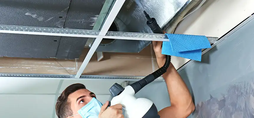 Our Air Duct Rodent Removal Services in Coronado, CA