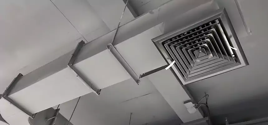 Restorative Allergy Relief Vent Cleaning – Coil, Blower & Housing Detail in Coronado