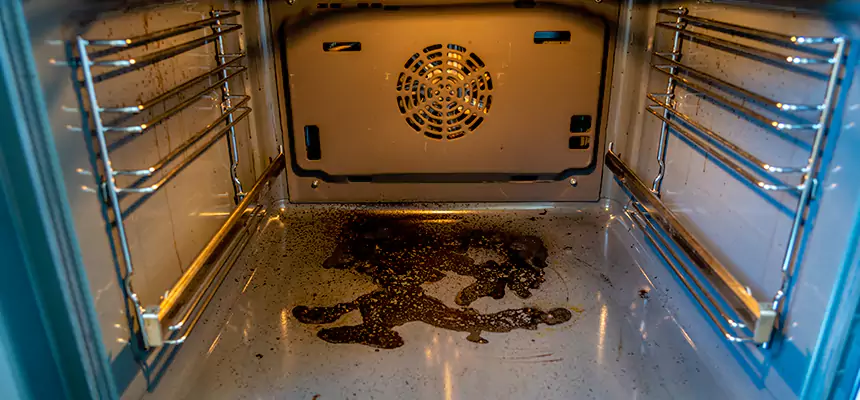 Our Dryer Vent Mold Cleaning Services in Coronado, CA