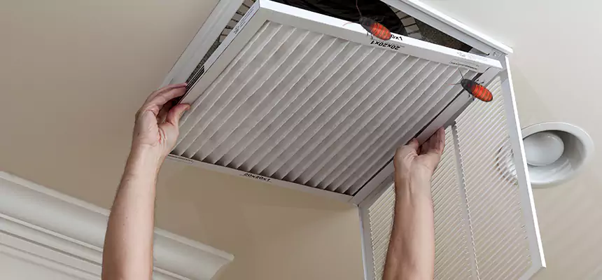 Our Insect Removal from Air Ducts Services in Coronado, CA