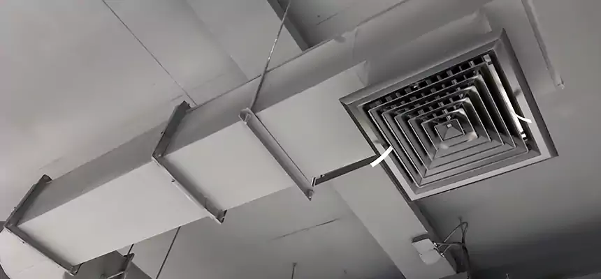 Our Pest Removal From Ducts Services in Coronado, CA