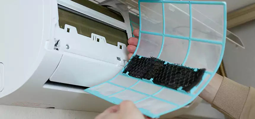 Gentle Ductwork Odor-Control Pet Dander Duct Cleaning in Coronado, CA