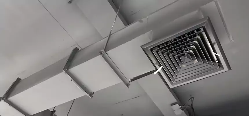 Our Rodent Droppings In Vents Services in Coronado, CA