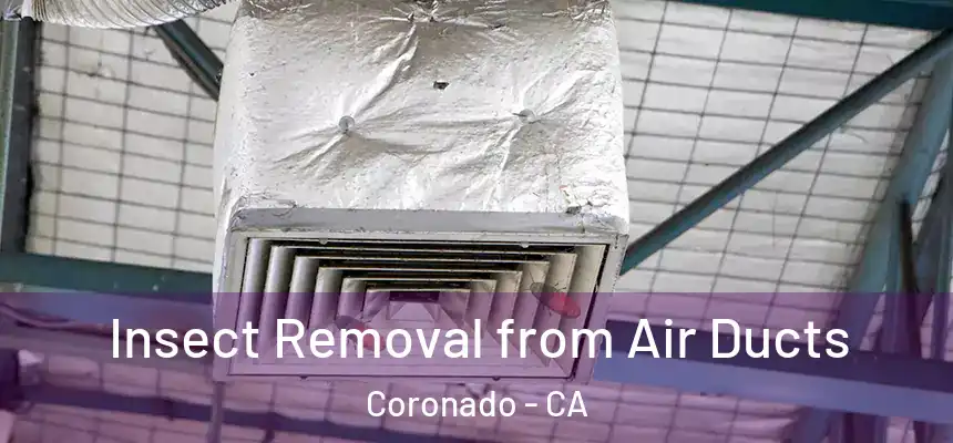  Insect Removal from Air Ducts Coronado - CA