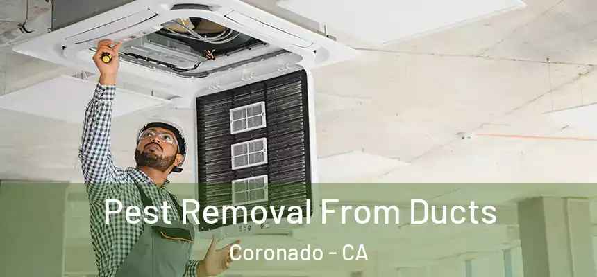 Pest Removal From Ducts Coronado - CA