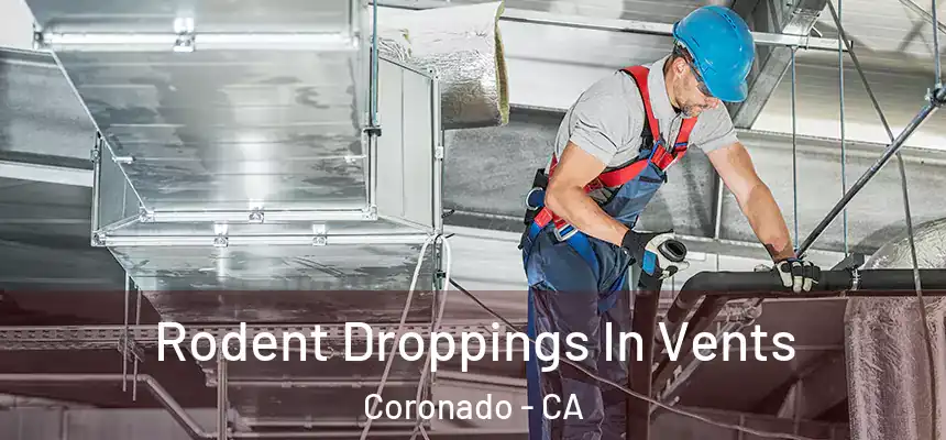  Rodent Droppings In Vents Coronado - CA