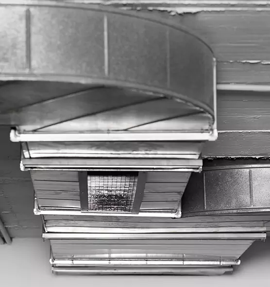 Professional Air Duct Pest Removal in Coronado, CA