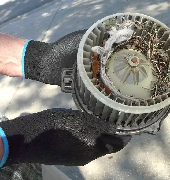 About Air Duct Rat Removal in Coronado, CA