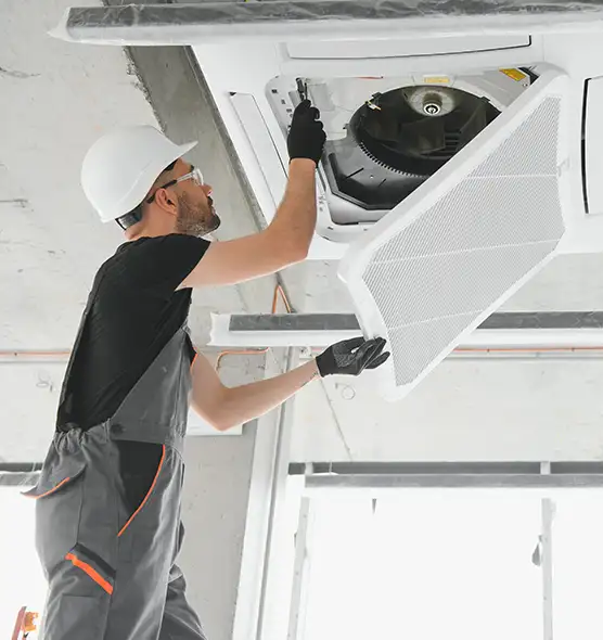 About Air Duct Rodent Removal in Coronado, CA