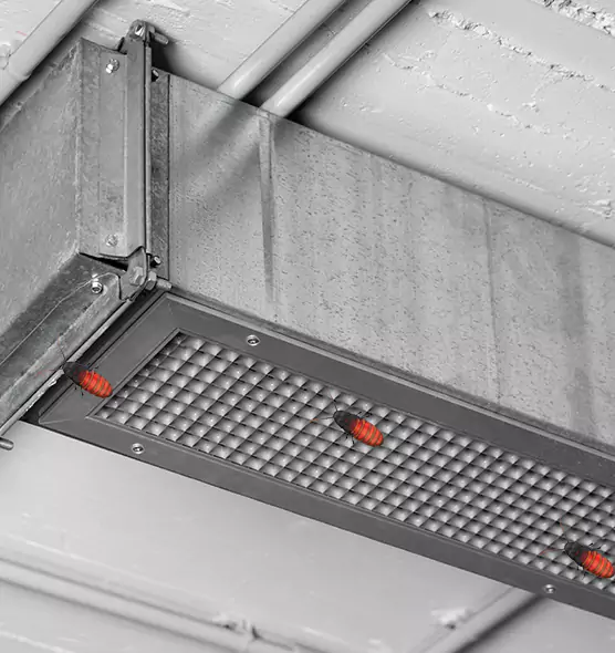 Affordable Insect Removal from Air Ducts in Coronado, CA