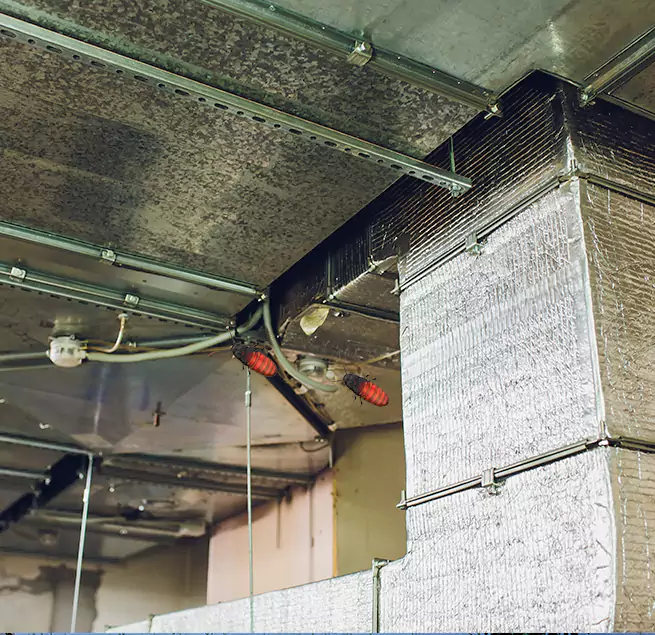 Why Homeowners & Businesses Trust Us in Coronado, CA?