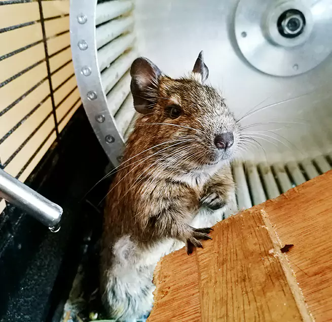 Why Homeowners & Businesses Trust Us Coronado, CA?