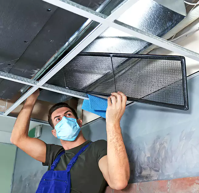 Why Homeowners Businesses Trust Us in Coronado, CA