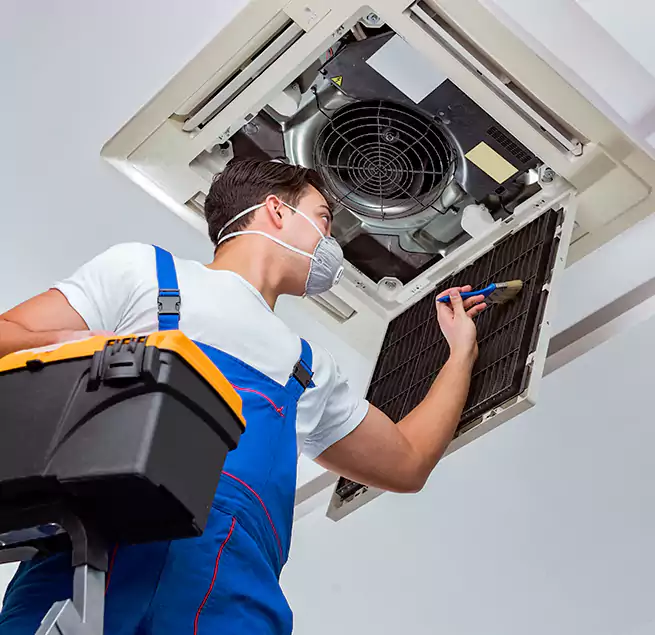 Why Homeowners & Businesses Trust Us in Coronado, CA