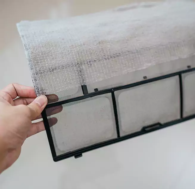 Why Homeowners & Businesses Trust Us in Coronado, CA?