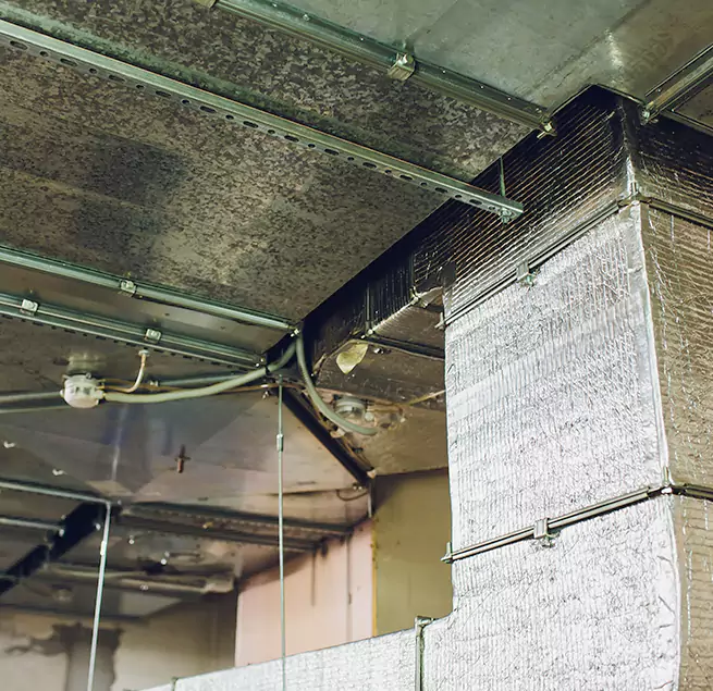 Why Homeowners & Businesses Trust Us in Coronado, CA?