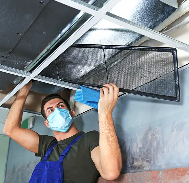 Why Homeowners & Businesses Trust Us in Coronado, CA?